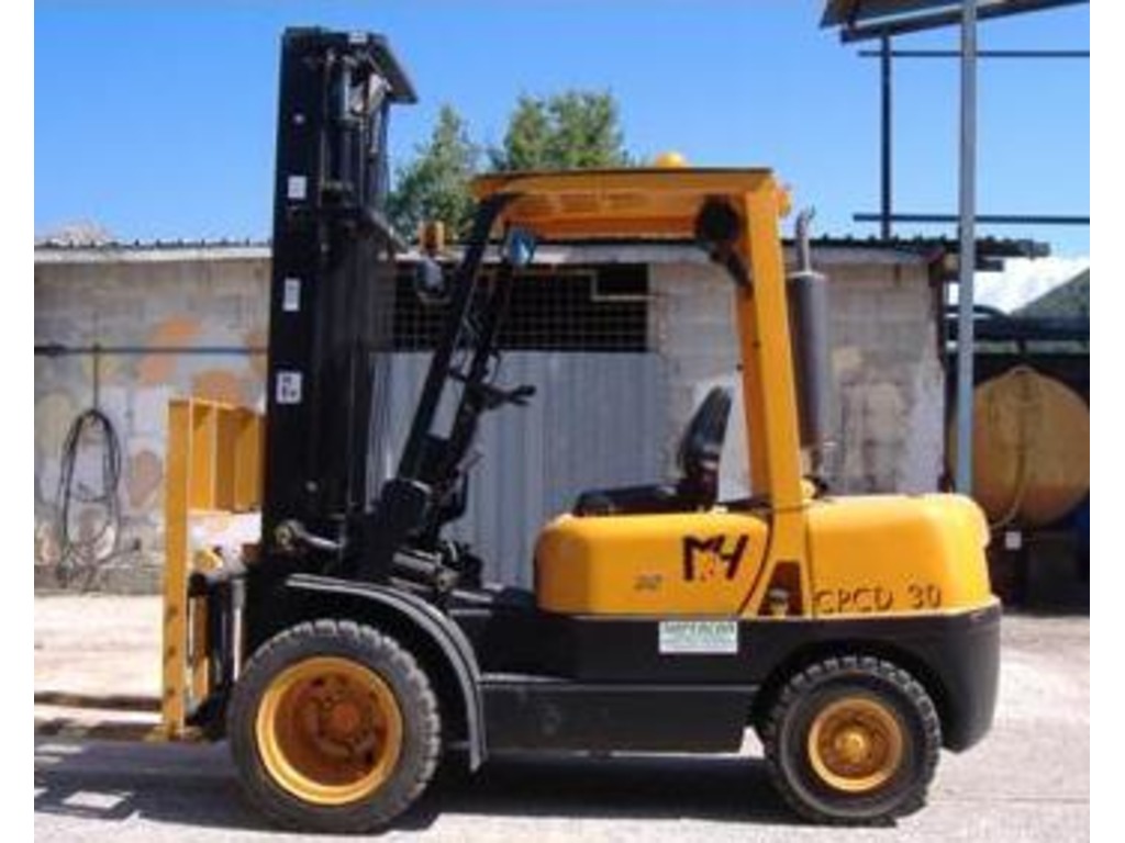 CARRELLO ELEVATORE PORTATA KG. 3000 in vendita - foto 2