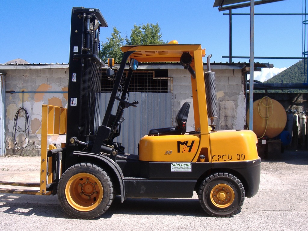 CARRELLO ELEVATORE PORTATA KG. 3000 in vendita - foto 3