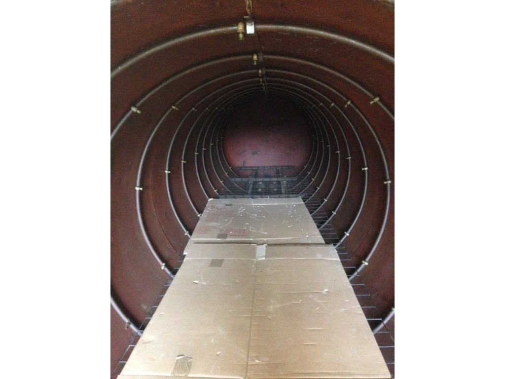 VENDO AUTOCLAVE PER TRATTAMENTO ANTITARLO in vendita - foto 2