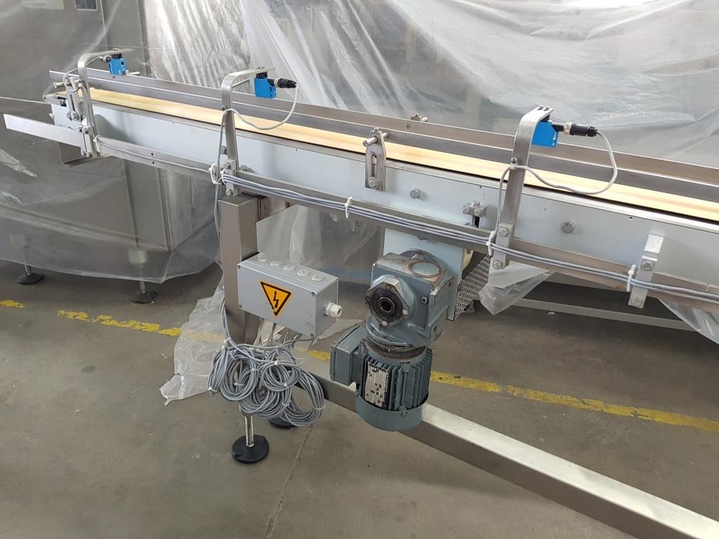 NASTRO TRASPORTATORE LINEARE MOTORIZZATO – MASPE (COD. MF-PK-NAS-209) in vendita - foto 2