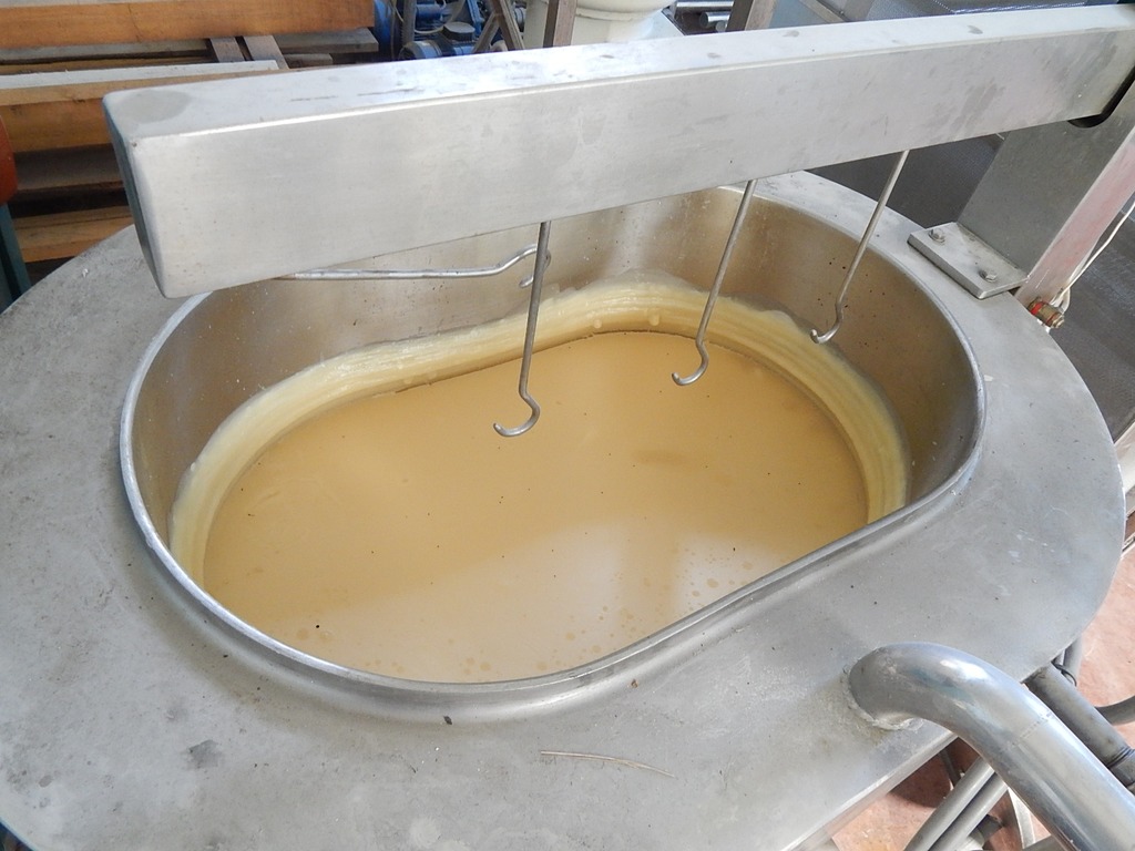 Lavorazione latte e formaggi in vendita