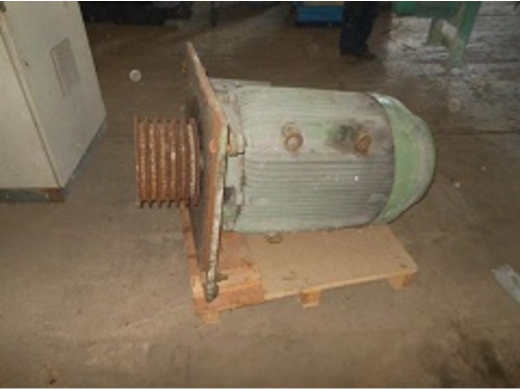 Vendesi motore spappolatore Fimet in vendita - foto 1