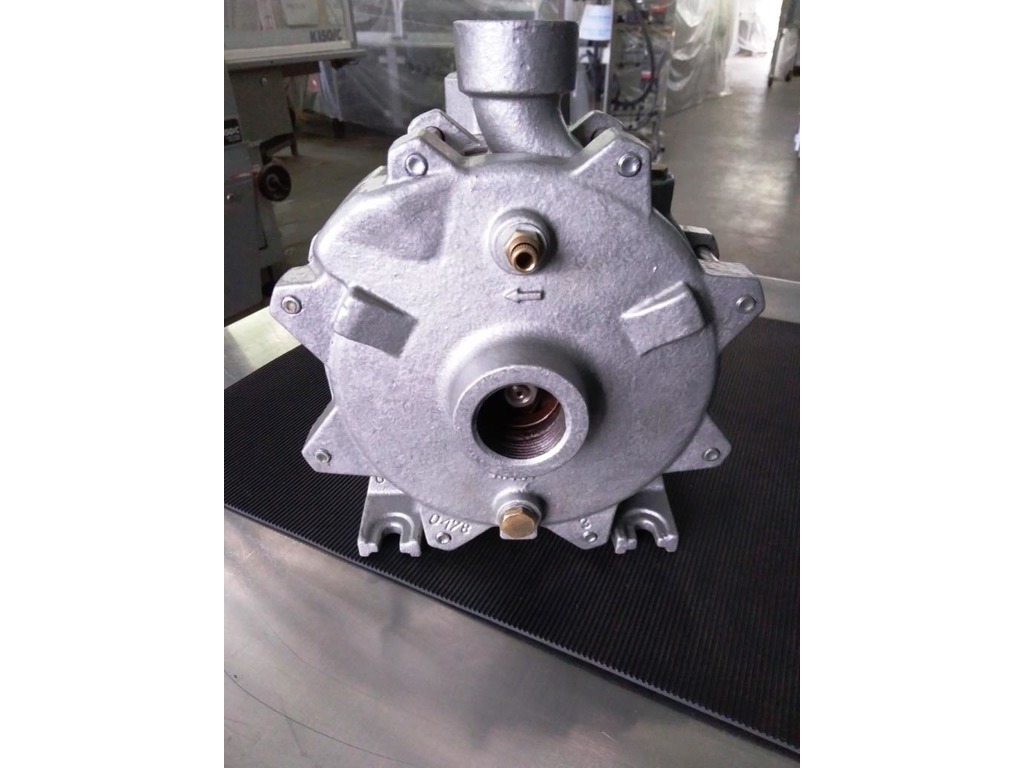 POMPA LIQUIDI SAER MOD. FC-25-2A (COD. MF-PR-POM-100) in vendita - foto 2