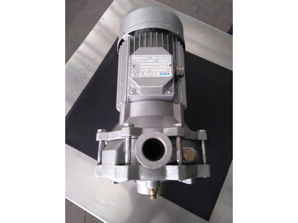 POMPA LIQUIDI SAER MOD. FC-25-2A (COD. MF-PR-POM-100) in vendita - foto 3