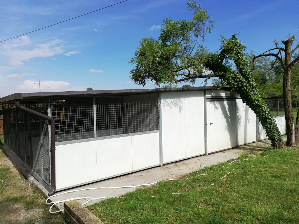 Box Isotermici per cani in vendita - foto 1