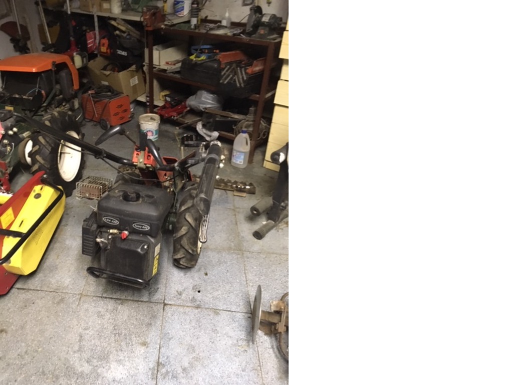 Motofalciatrice Goldoni ECO 5 in vendita - foto 4