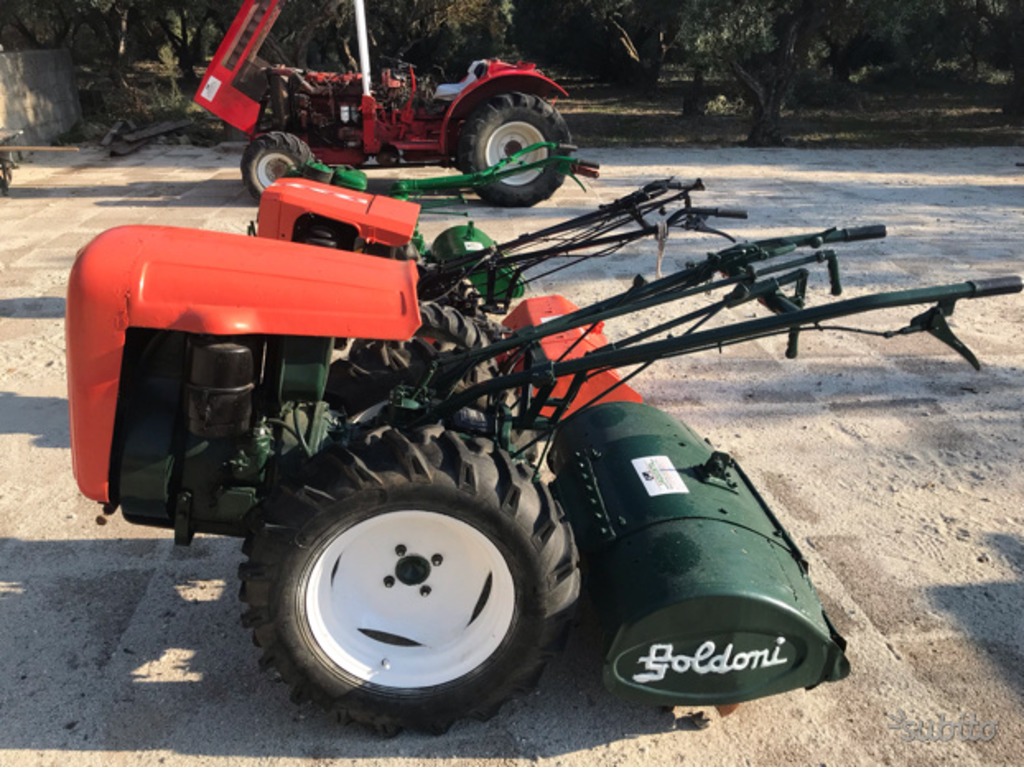 Zappatrice 18 cv Goldoni in vendita - foto 1
