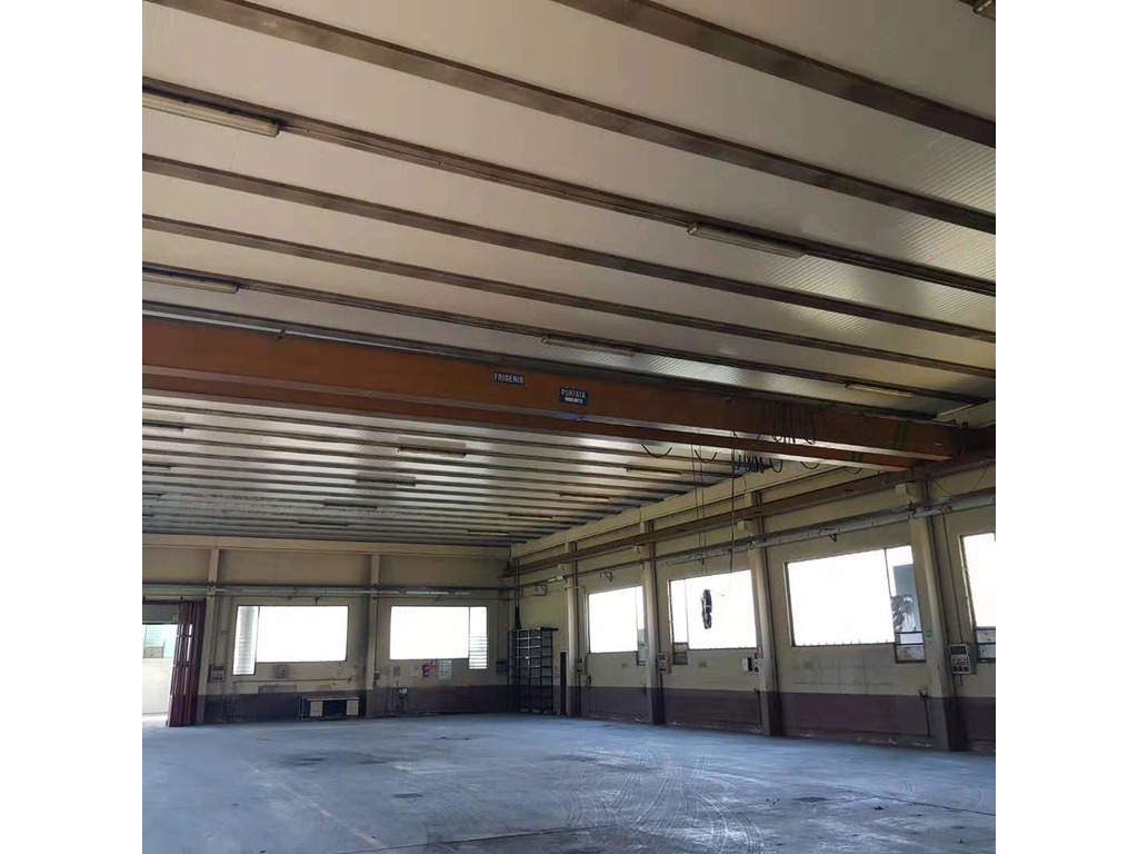 Carroponte Bitrave Frigerio Usato in Vendita in vendita - foto 1