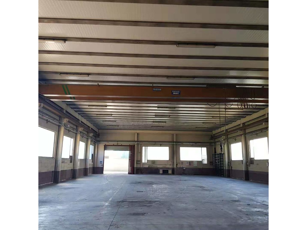 Carroponte Bitrave Frigerio Usato in Vendita in vendita - foto 2