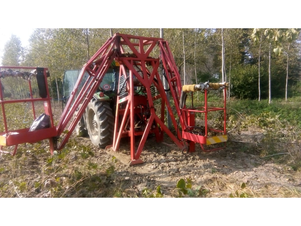 TRESPOLO PIOPPICOLTURA in vendita - foto 2