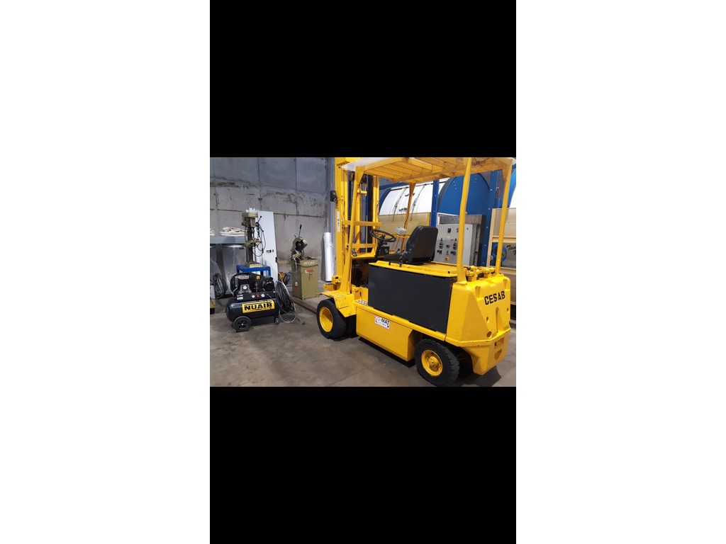 Carrelli elevatori in vendita