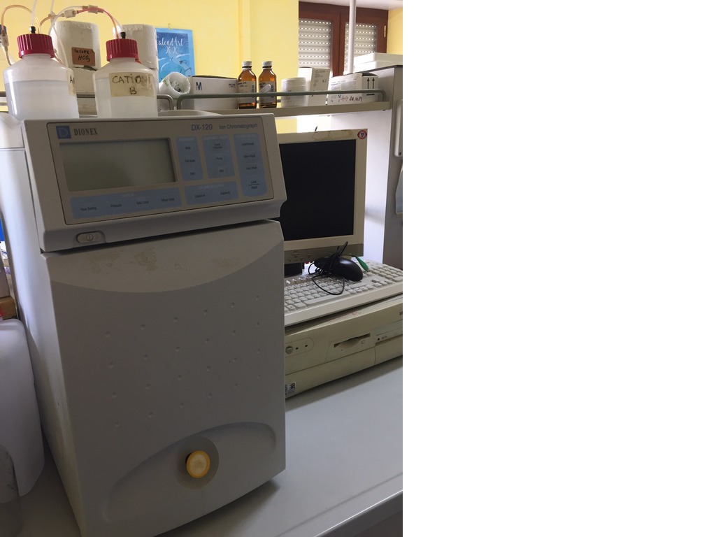Cromatografo ionico Dionex DX120 in vendita - foto 1