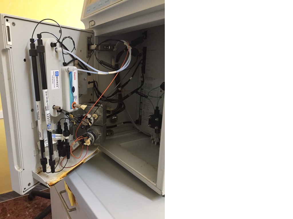 Cromatografo ionico Dionex DX120 in vendita - foto 4