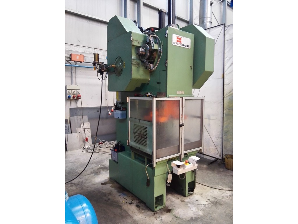Pressa Ross 100 ton in vendita - foto 1