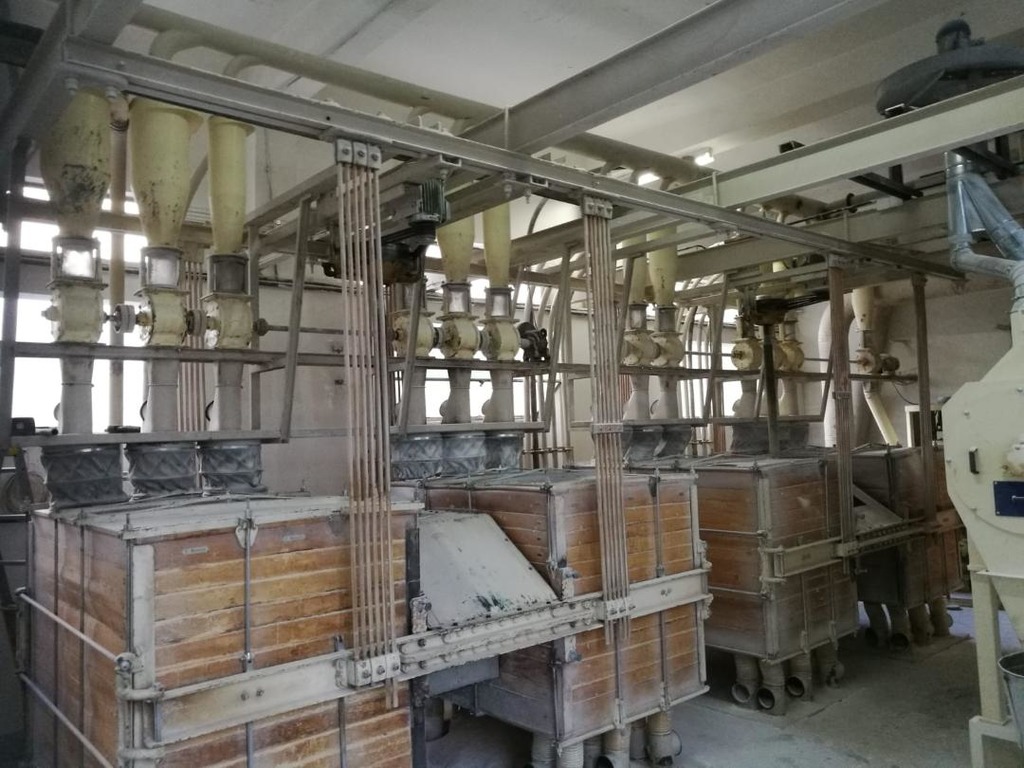 Plansichter + Impianto Pneumatico + Filtro + Cicloni + Colletore in vendita - foto 1