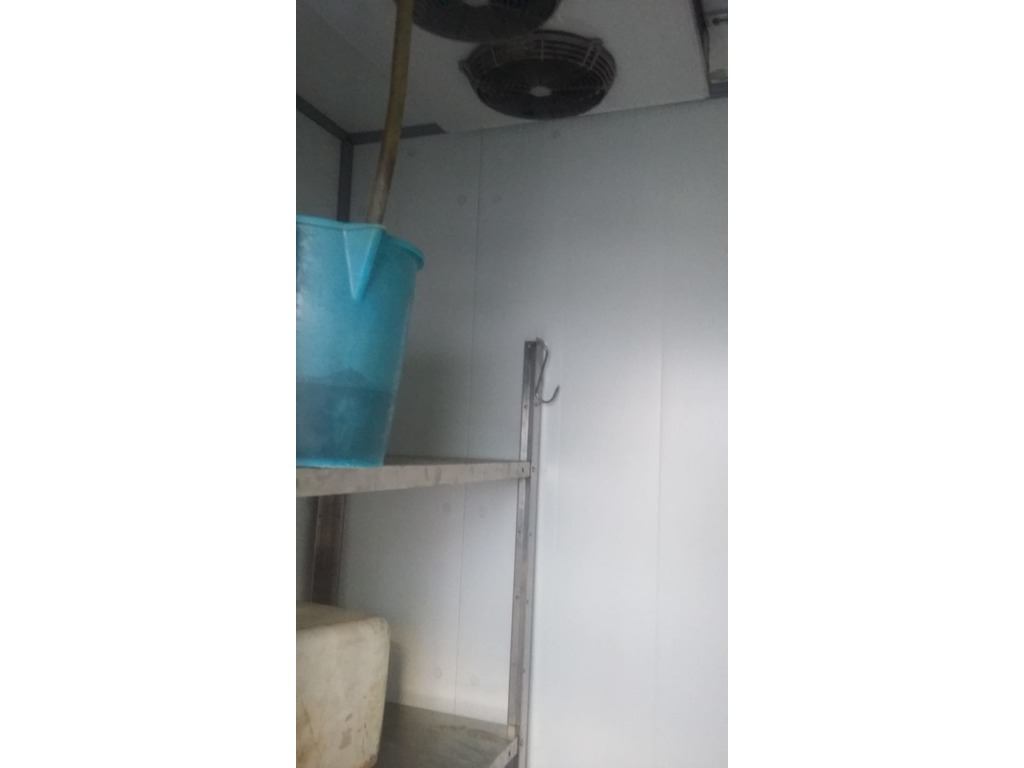 vendo banco macelleria, congelatori e cella frigo in vendita - foto 2