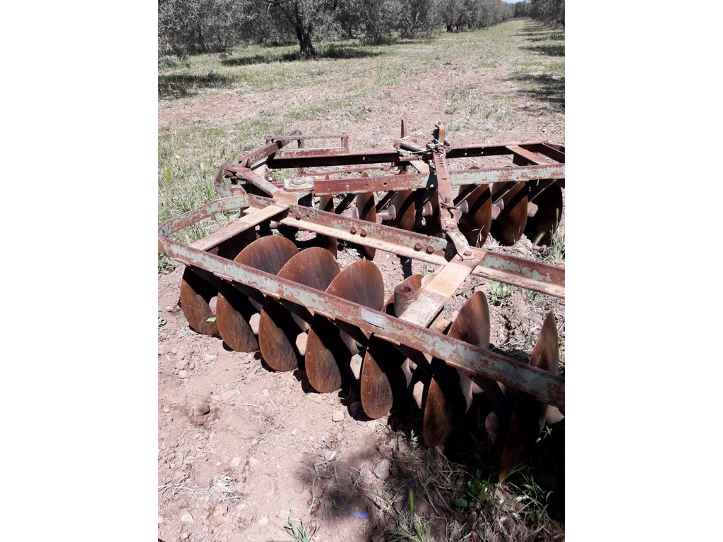 Landini 5000+Frangizolle modello Nardi in vendita - foto 7