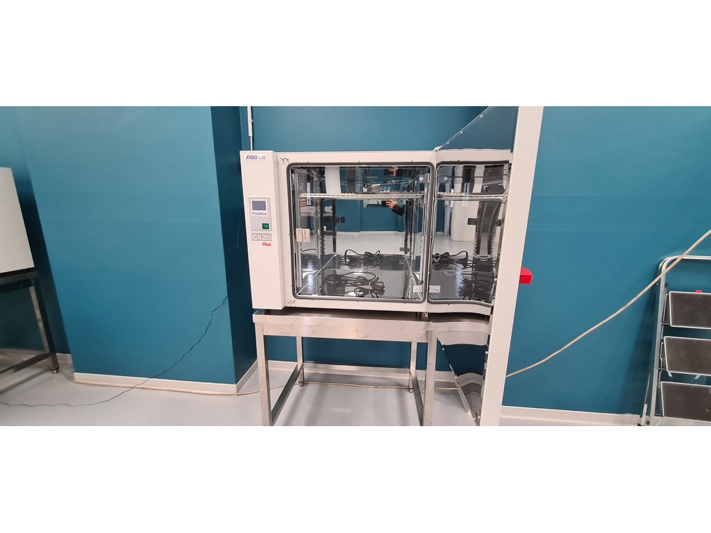 Vendita due nuovissimi(mai accesi) incubatori da laboratorio in vendita - foto 2