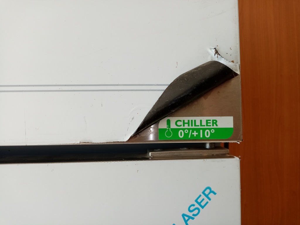 Cella/Armadio frigorifero da 1400 litri 0-10 °C in vendita - foto 5