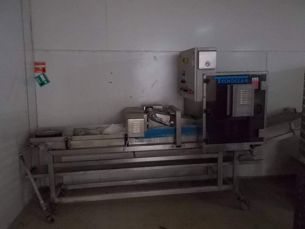 taglierina a nastro tecnoceam in vendita - foto 3
